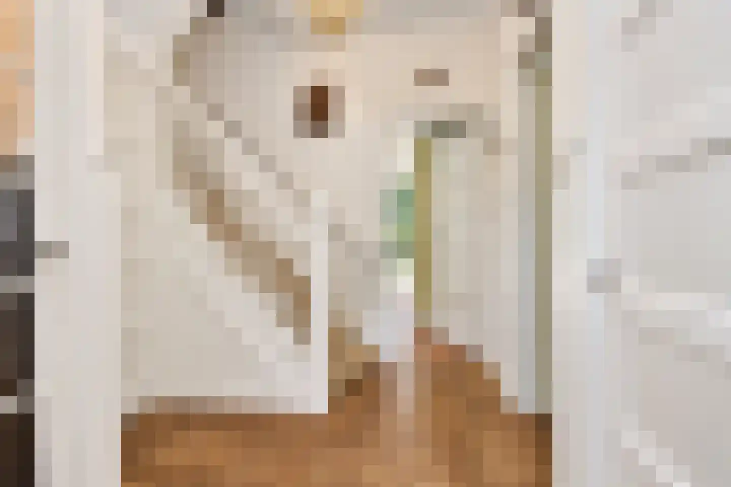 Marlotlaan 14 Den Haag thumbnail 10