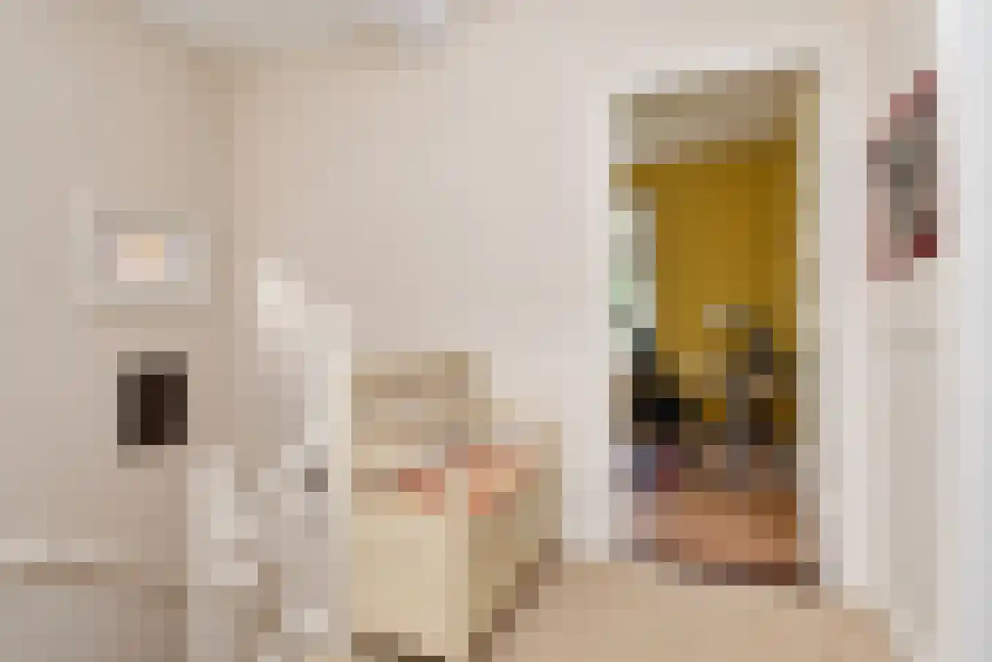Marlotlaan 14 Den Haag thumbnail 27