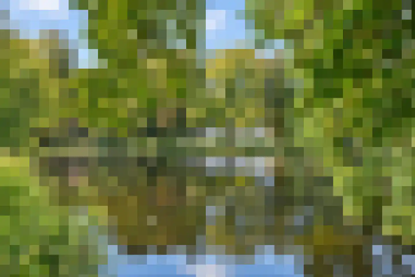 Marlotlaan 14 Den Haag thumbnail 67