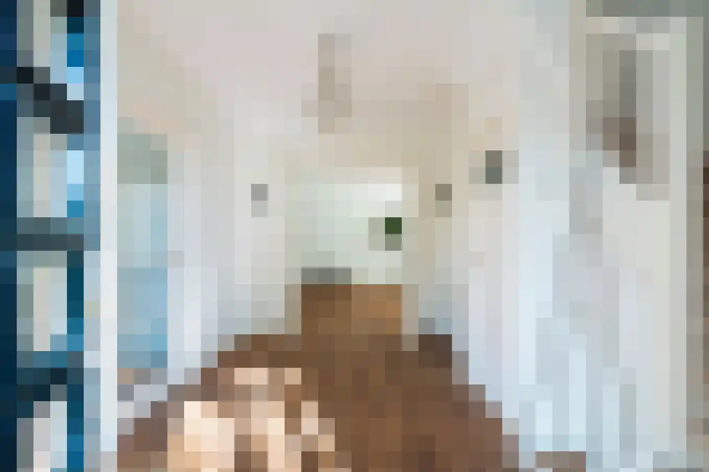 Marlotlaan 17 Den Haag thumbnail 10