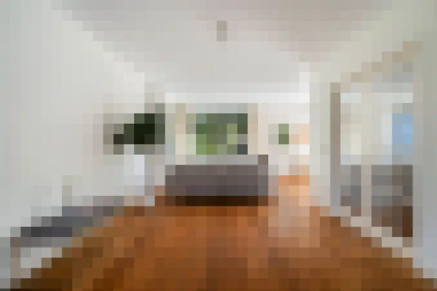 Marlotlaan 17 Den Haag thumbnail 12