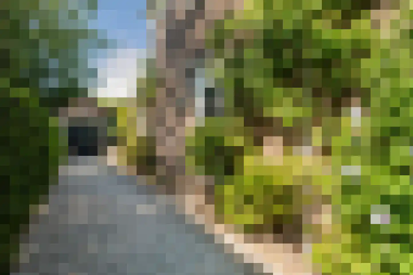 Marlotlaan 17 Den Haag thumbnail 5