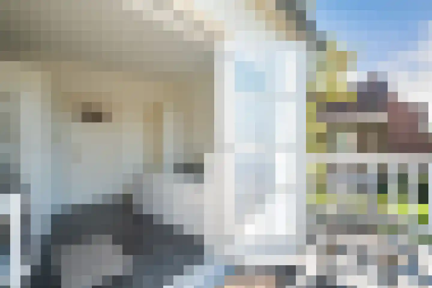Marlotlaan 17 Den Haag thumbnail 52