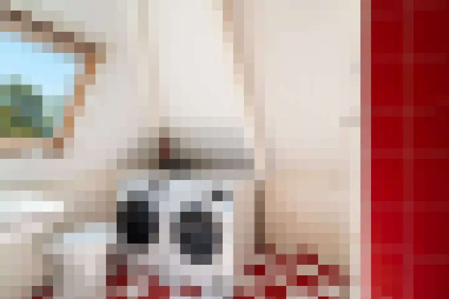 Marlotlaan 17 Den Haag thumbnail 63