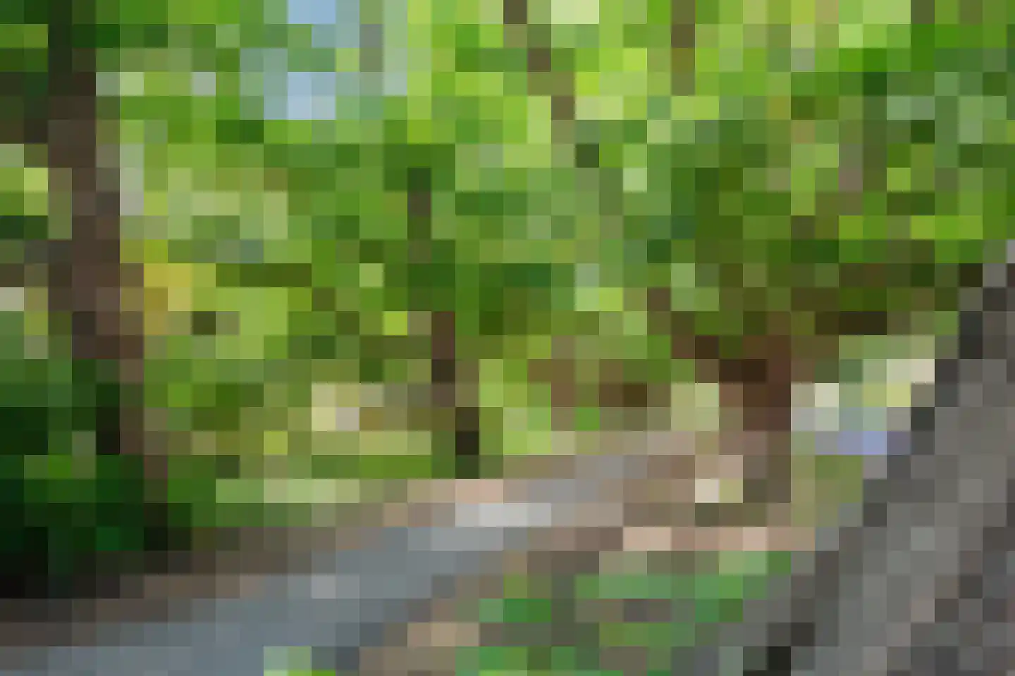 Marlotlaan 17 Den Haag thumbnail 66
