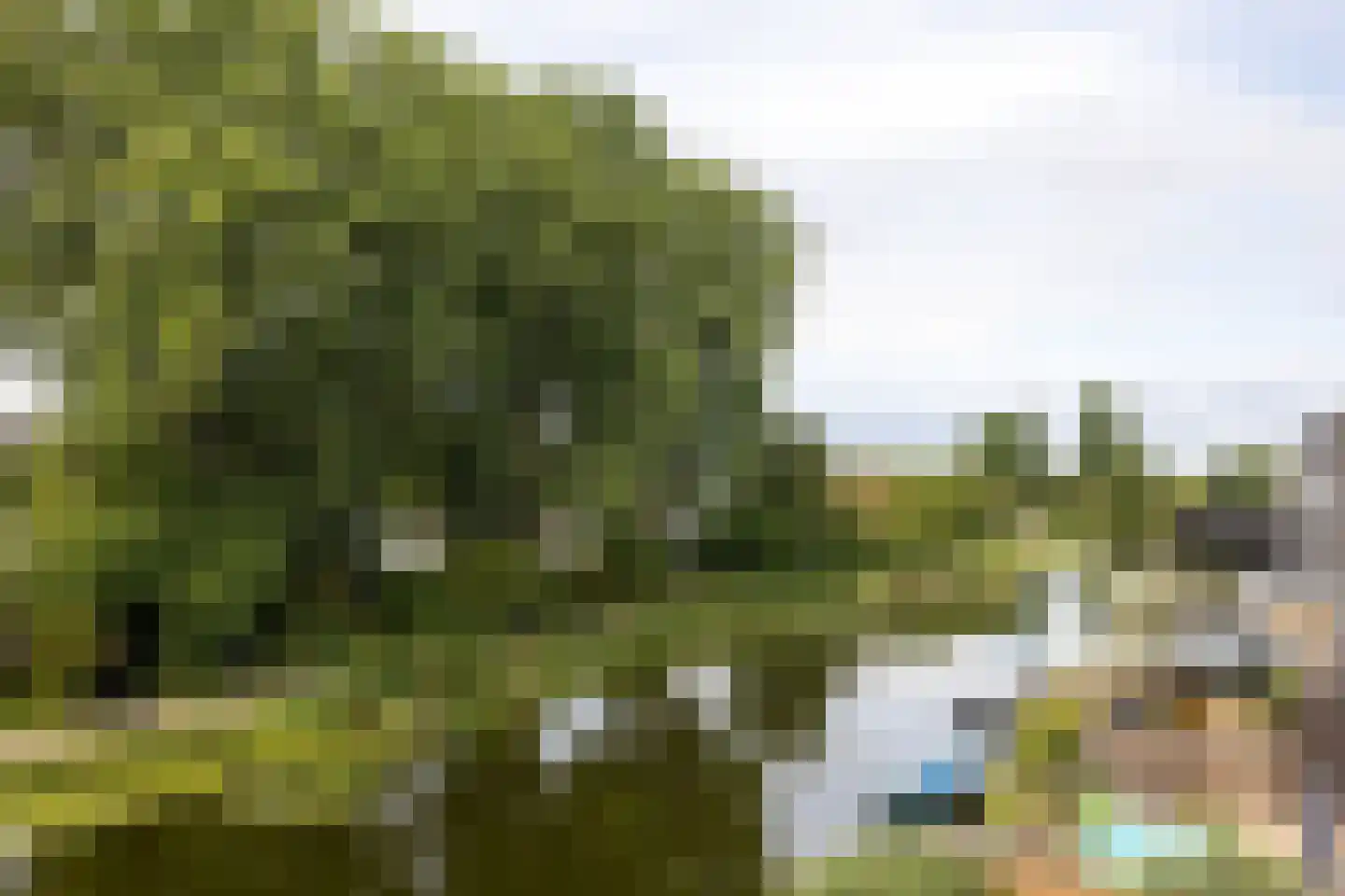 Marmerhof 11 Rotterdam thumbnail 21