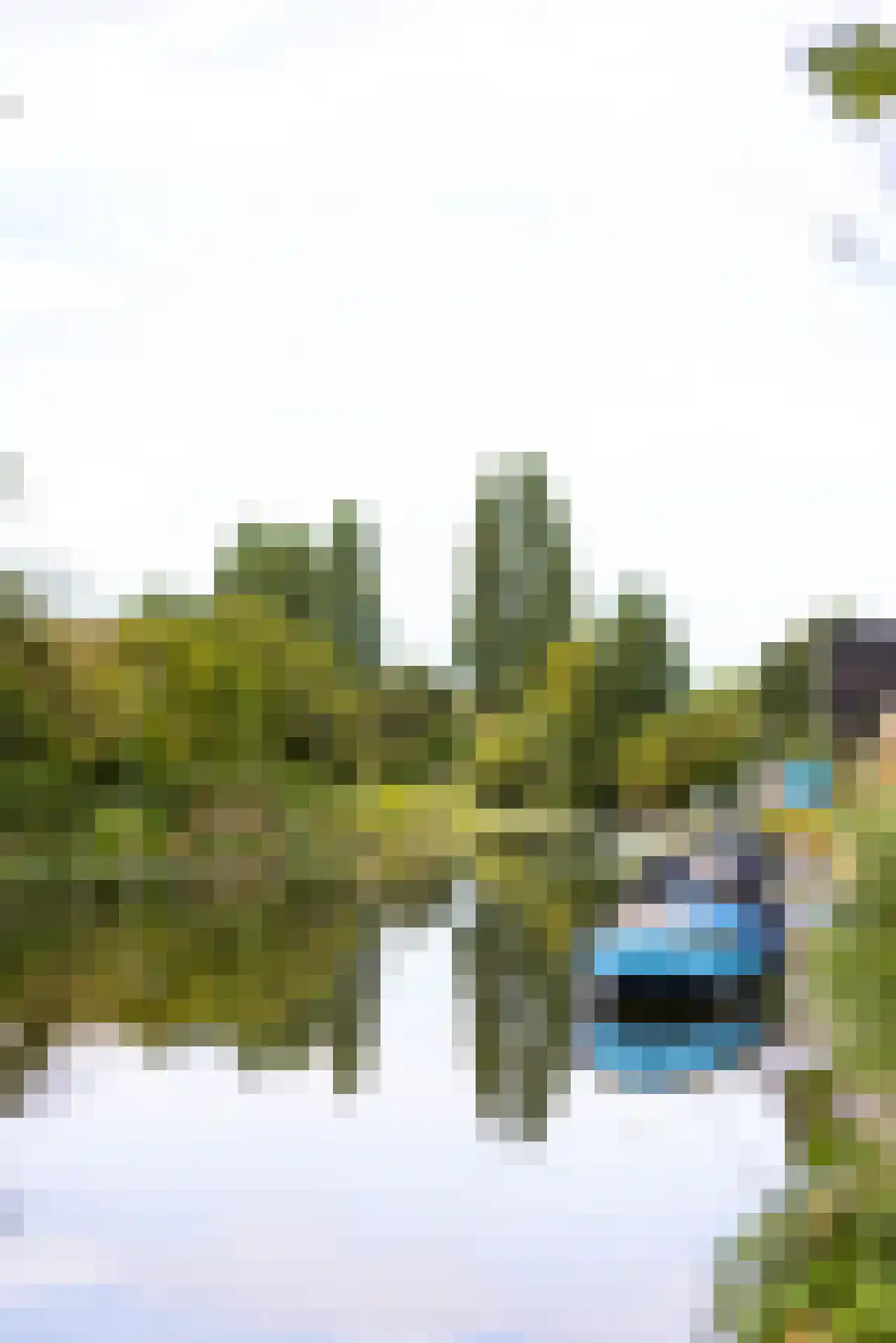 Marmerhof 11 Rotterdam thumbnail 22