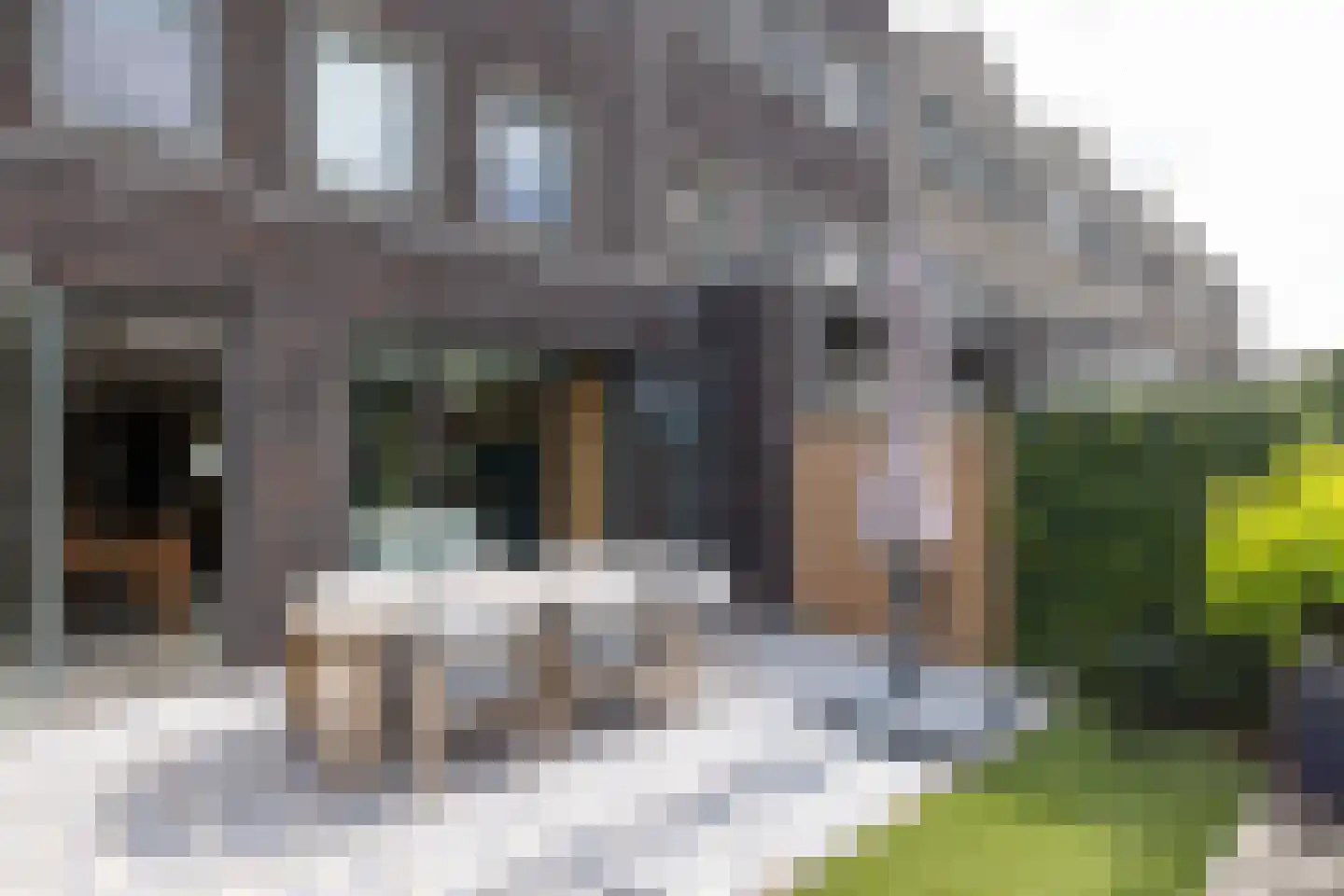 Marmerhof 11 Rotterdam thumbnail 5