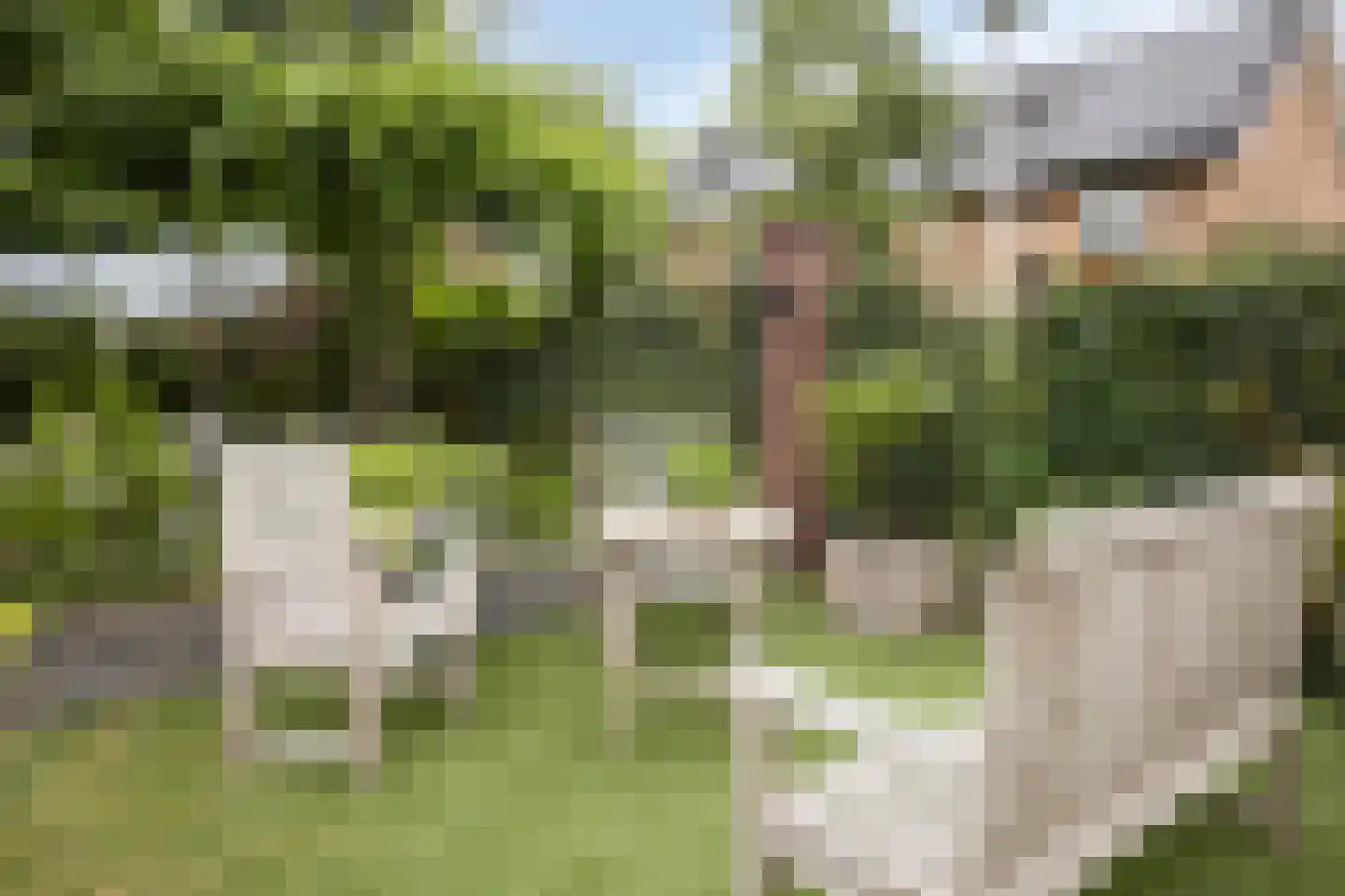 Marmermolen 1 Zwolle thumbnail 34
