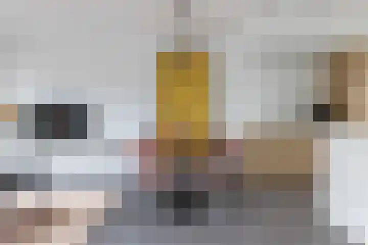 Marmermolen 18 Zwolle thumbnail 10