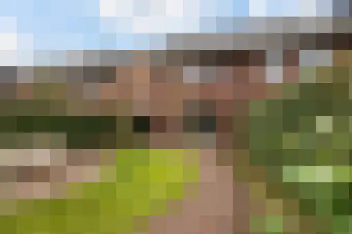 Marmermolen 18 Zwolle thumbnail 26