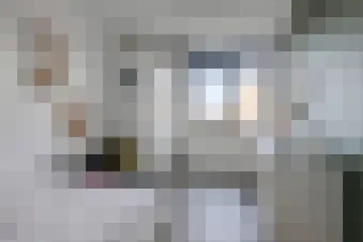 Marmermolen 32 Zwolle thumbnail 28