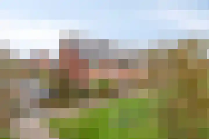 Marmermolen 32 Zwolle thumbnail 39