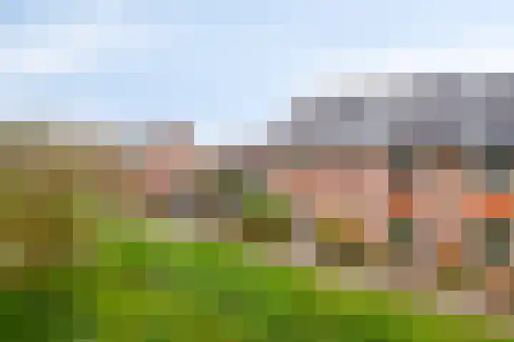 Marmermolen 32 Zwolle thumbnail 41
