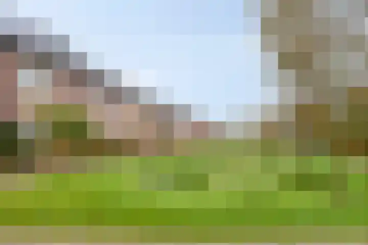 Marmermolen 32 Zwolle thumbnail 9