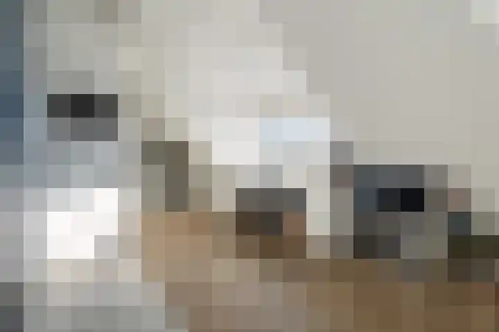 Marmerschelp 59 Monster thumbnail 61