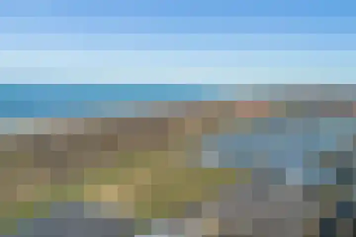 Marmerschelp 59 Monster thumbnail 80