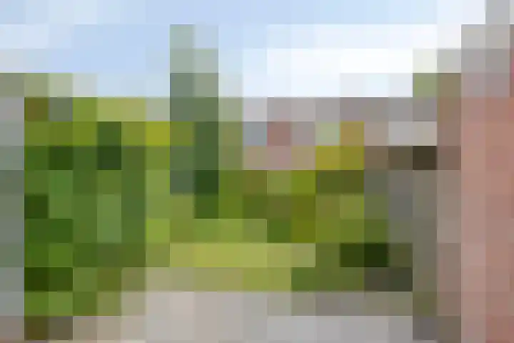 Marmerstraat 3 Groningen thumbnail 26