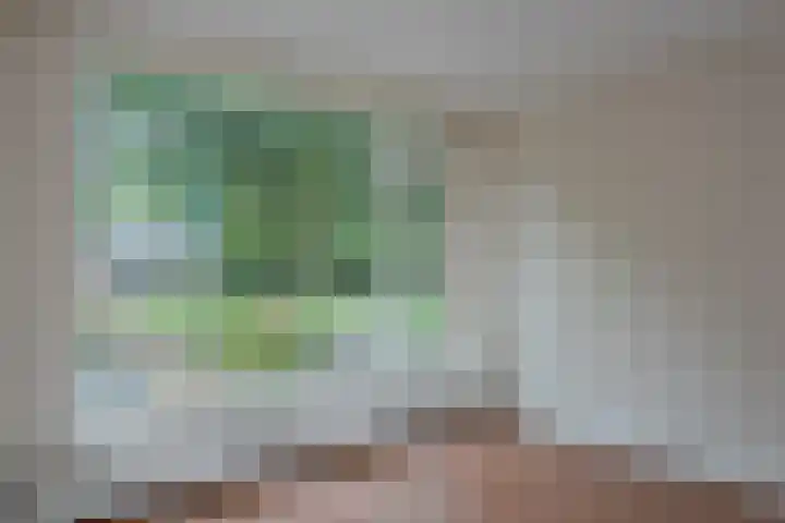 Marmerstraat 5 't Harde thumbnail 7