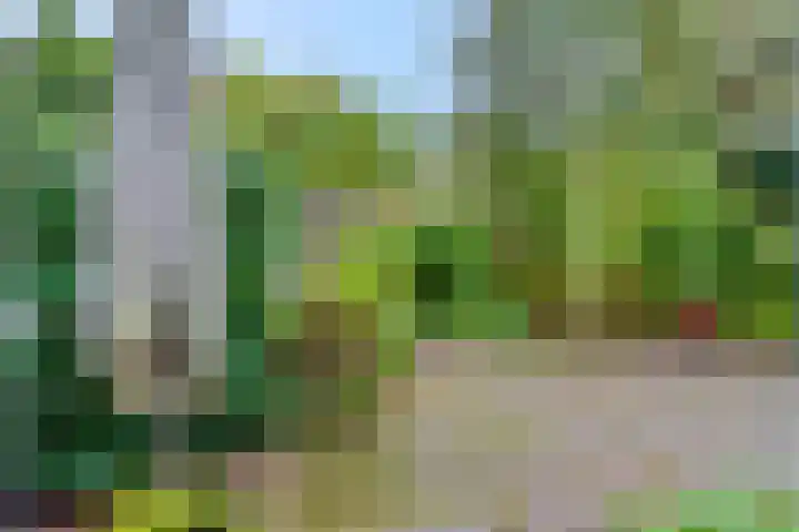 Marmontweg 17 Austerlitz thumbnail 42