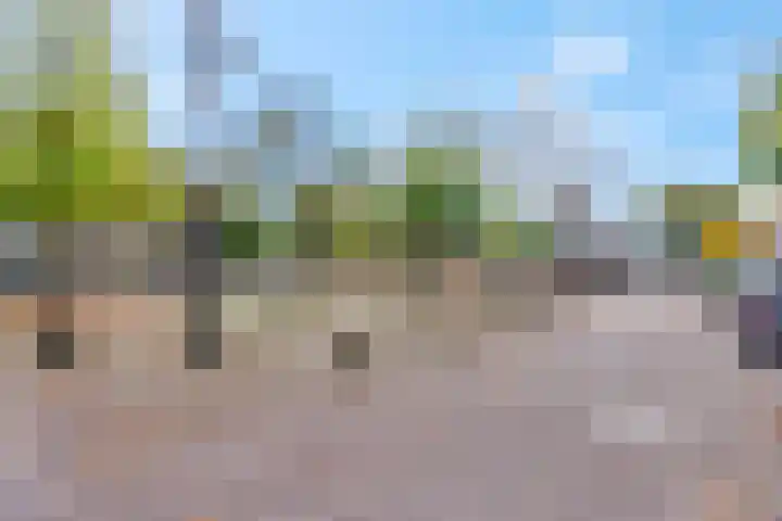 Marmontweg 17 Austerlitz thumbnail 66