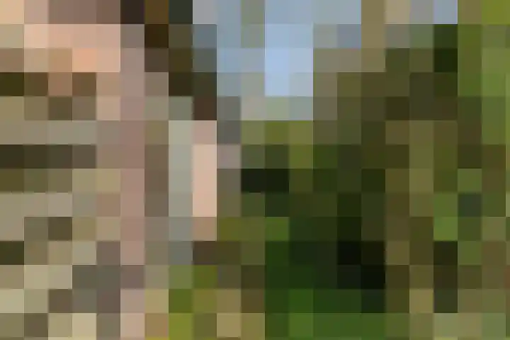 Marmontweg 32 Austerlitz thumbnail 10
