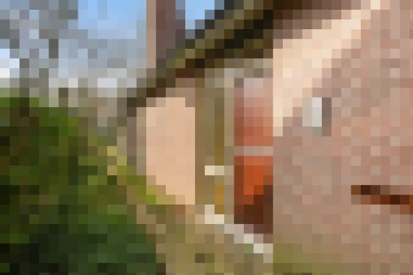 Marmontweg 32 Austerlitz thumbnail 11
