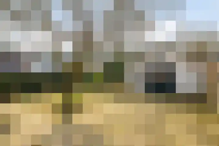 Marmontweg 32 Austerlitz thumbnail 39