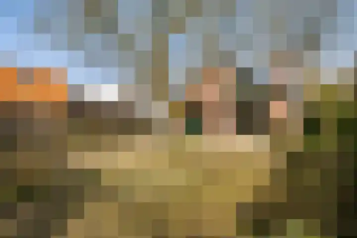 Marmontweg 32 Austerlitz thumbnail 42