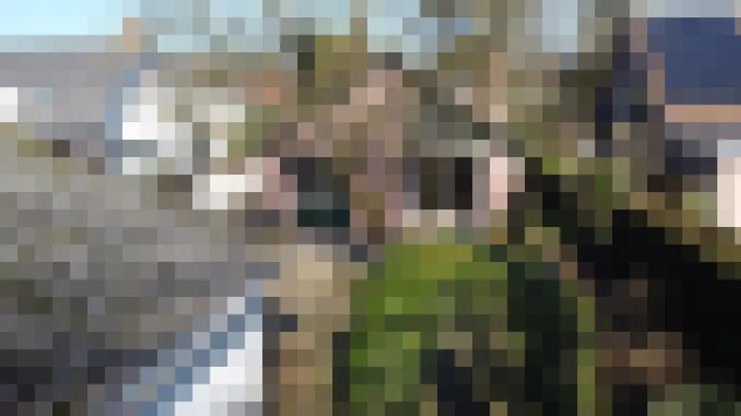 Marmontweg 32 Austerlitz thumbnail 44