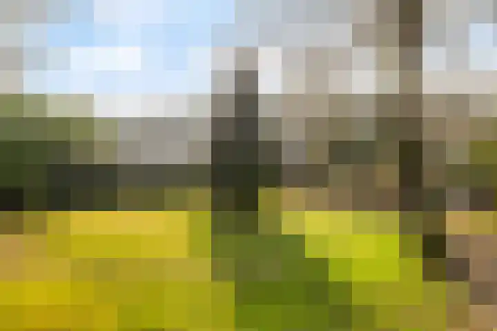 Marmontweg 32 Austerlitz thumbnail 46