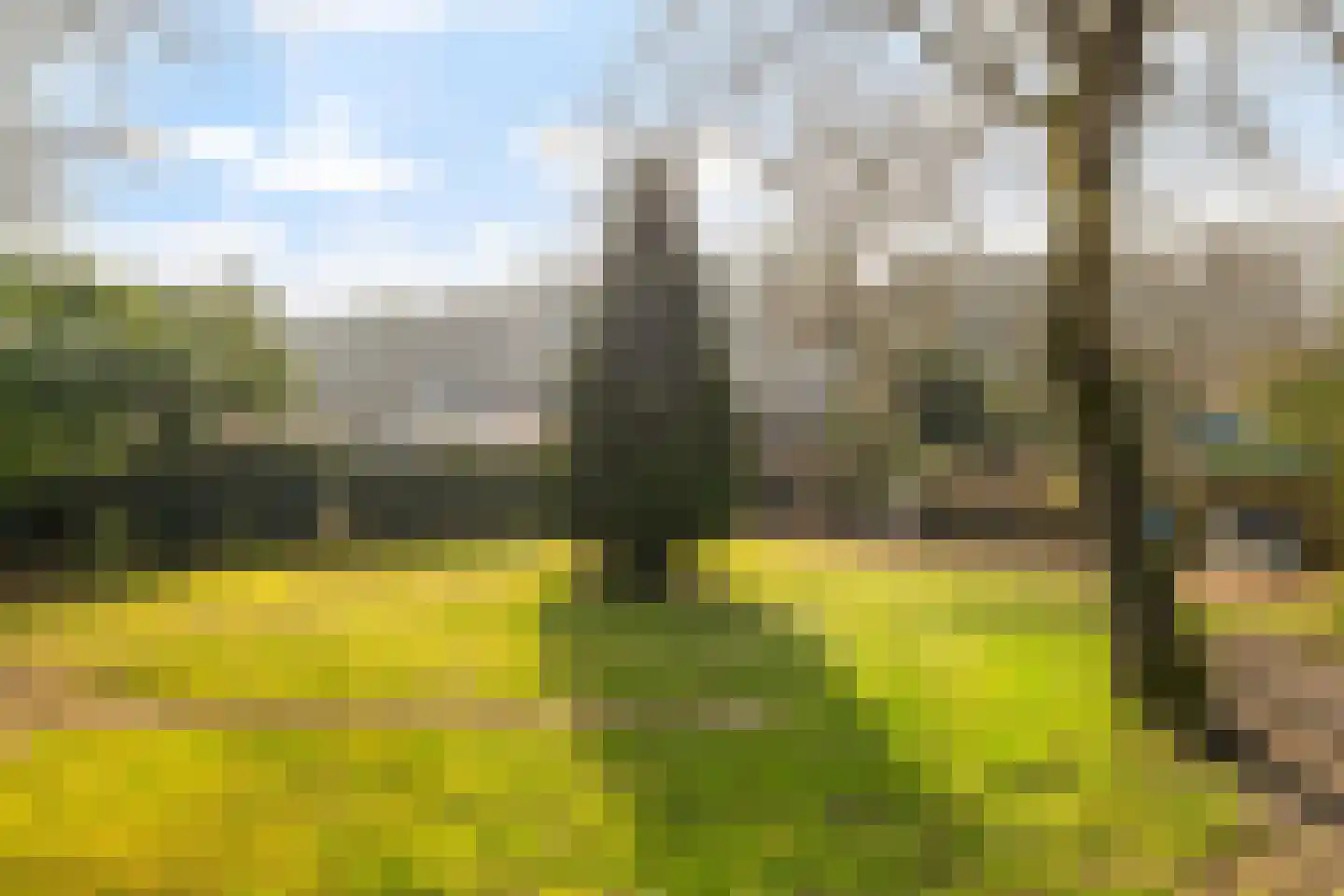 Marmontweg 32 Austerlitz thumbnail 46