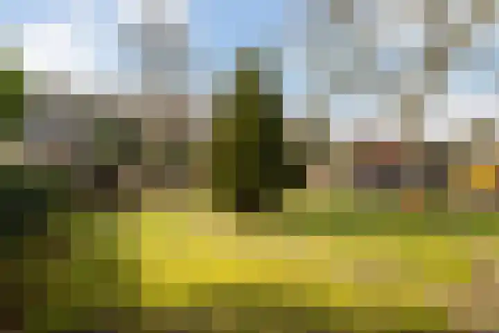 Marmontweg 32 Austerlitz thumbnail 47