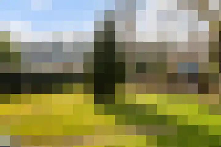 Marmontweg 32 Austerlitz thumbnail 48
