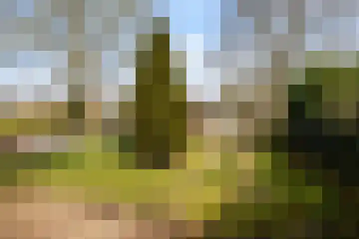 Marmontweg 32 Austerlitz thumbnail 49
