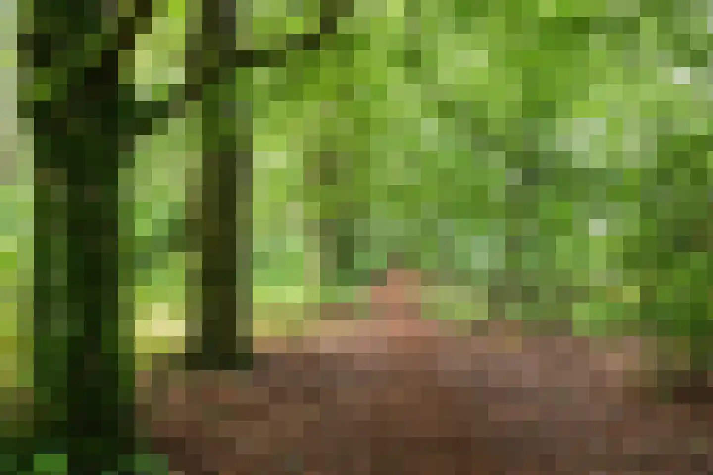 Marmontweg 48 Austerlitz thumbnail 41