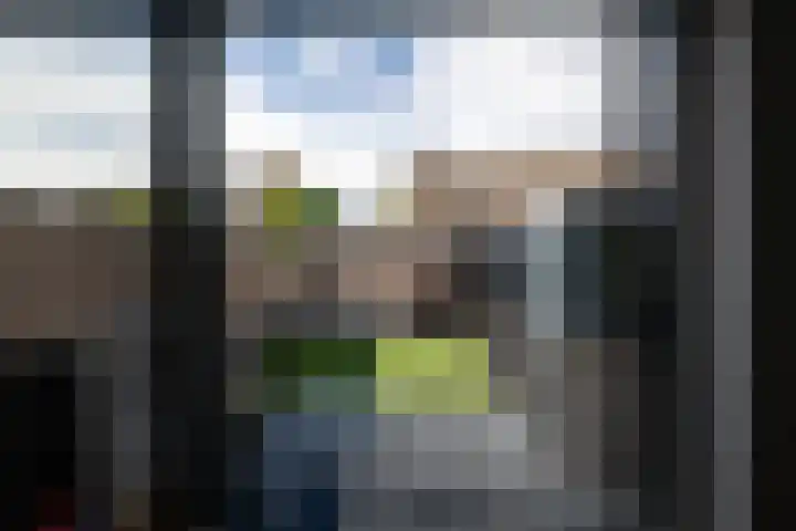 Marmot 11 Hellevoetsluis thumbnail 26