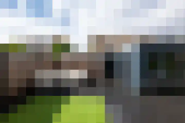 Marmot 11 Hellevoetsluis thumbnail 28