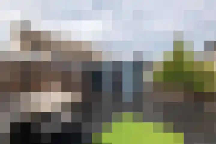 Marmot 11 Hellevoetsluis thumbnail 29