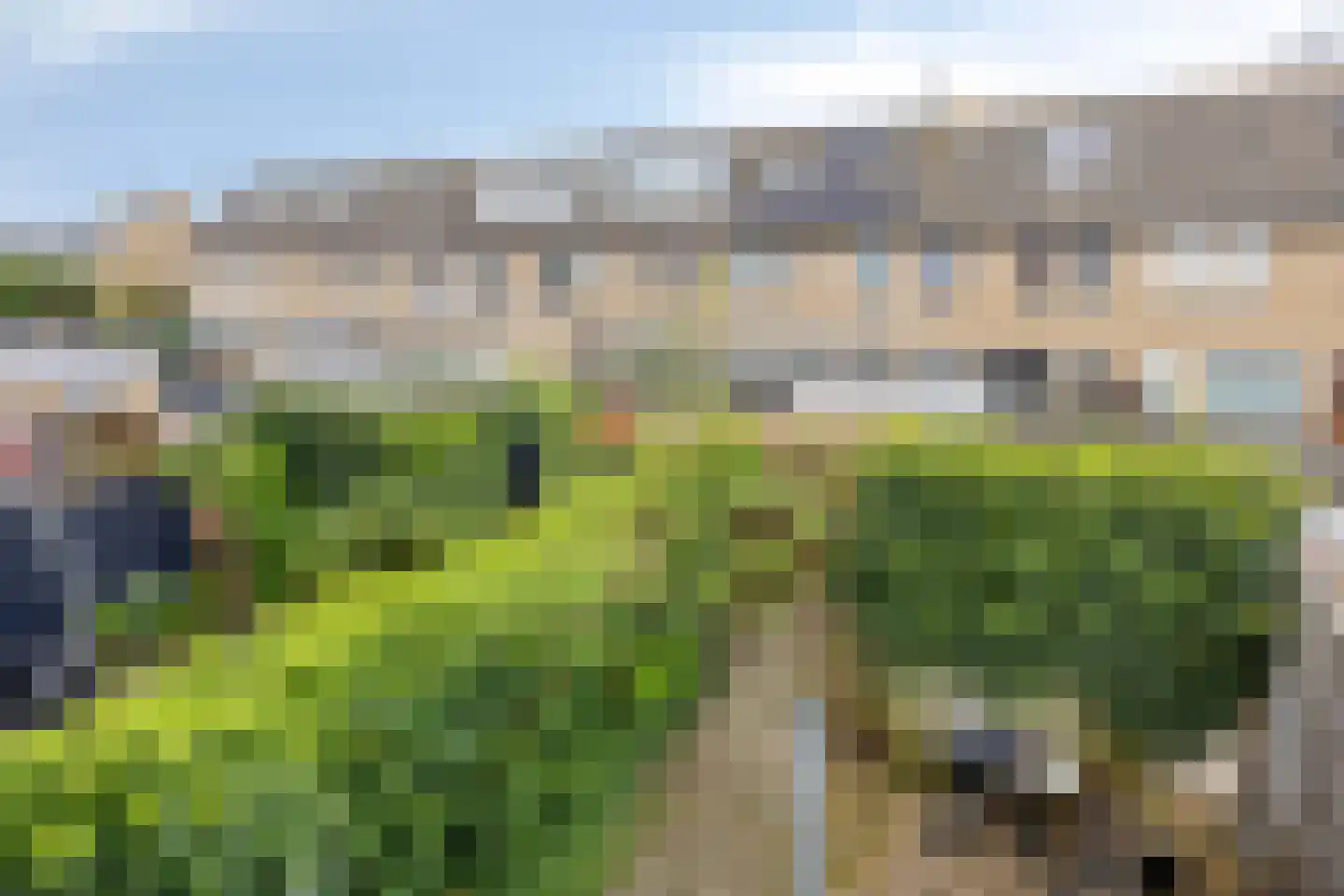 Marmot 23 Hellevoetsluis thumbnail 41