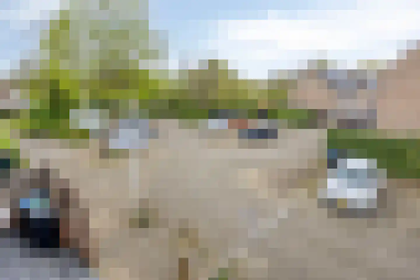 Marmot 23 Hellevoetsluis thumbnail 43