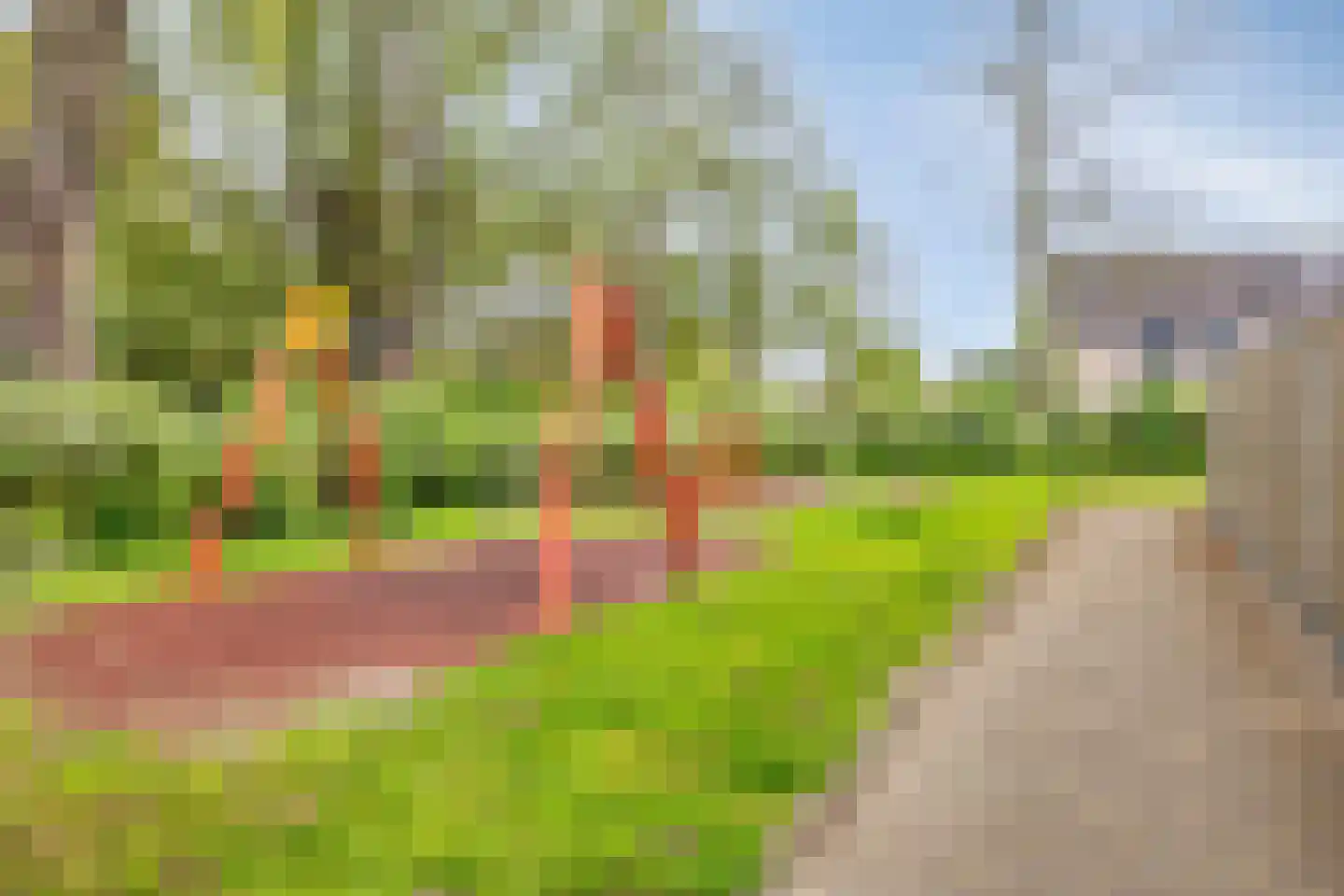 Marmot 23 Hellevoetsluis thumbnail 44