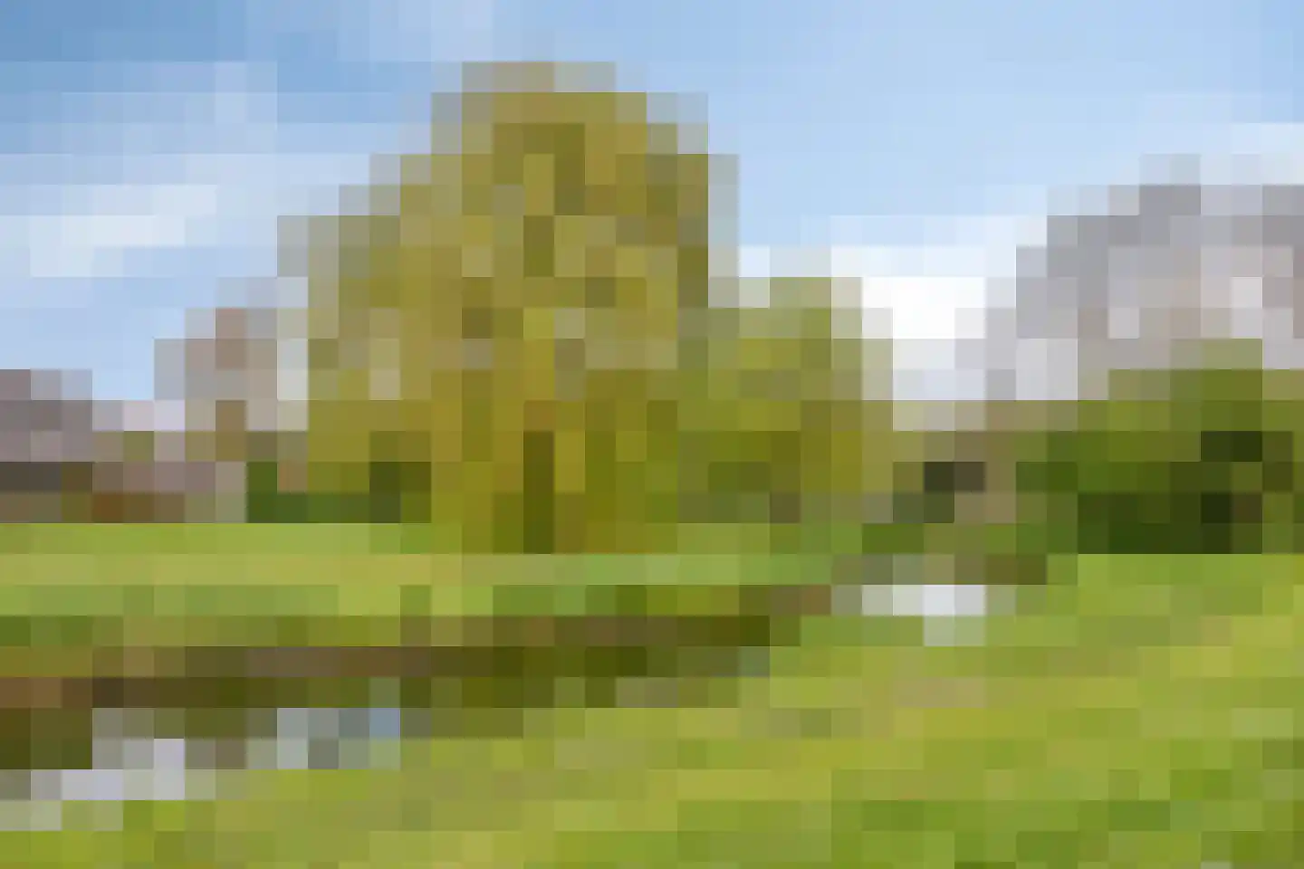 Marmot 23 Hellevoetsluis thumbnail 47