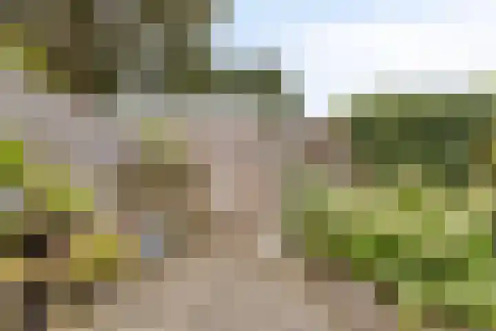 Marmotstraat 18 Helmond thumbnail 27
