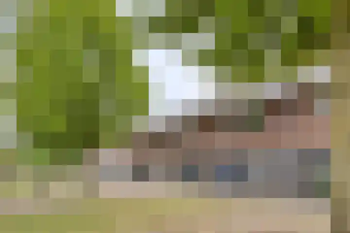 Marmotstraat 18 Helmond thumbnail 32