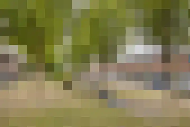 Marmotstraat 18 Helmond thumbnail 34