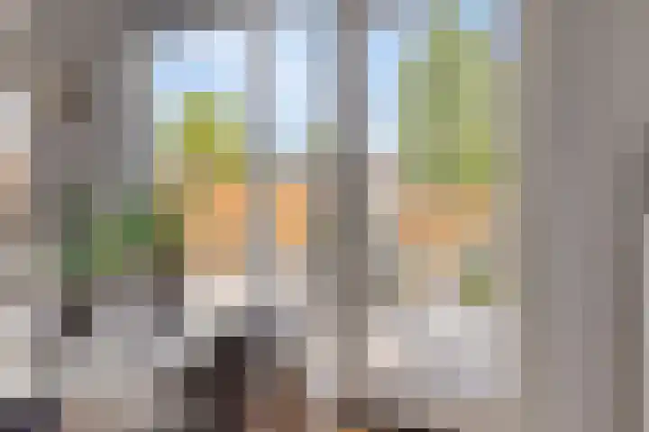 Marmotstraat 19 Helmond thumbnail 16