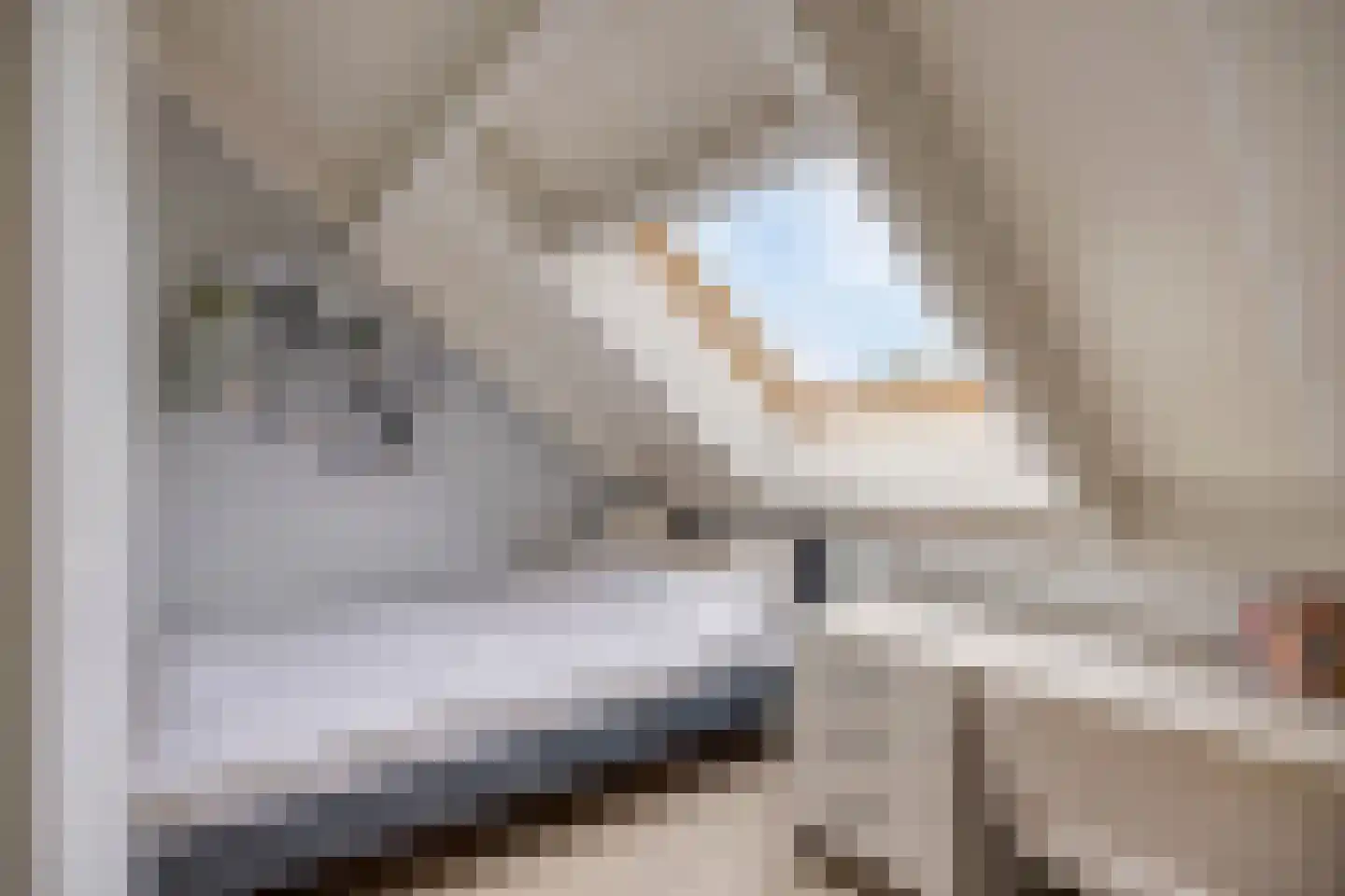 Marmotstraat 7 Helmond thumbnail 35