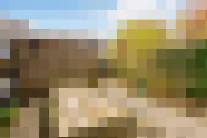 Marmotweide 11 Nieuwegein thumbnail 12