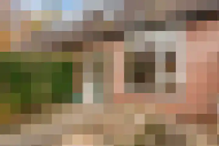 Marmotweide 11 Nieuwegein thumbnail 15